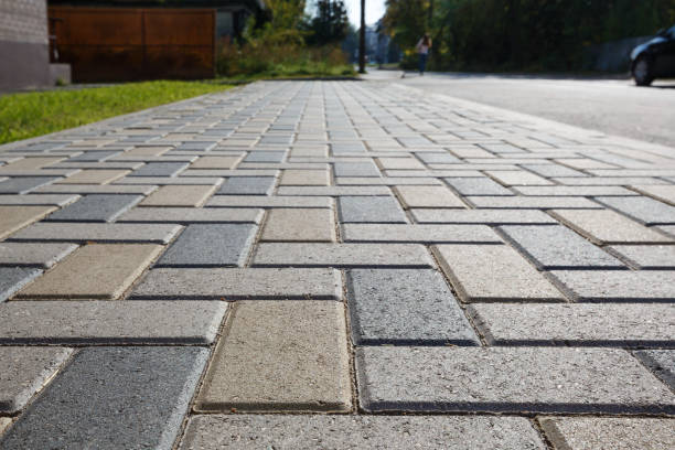 Best Driveway Paving Near Me  in Taylors Falls, MN